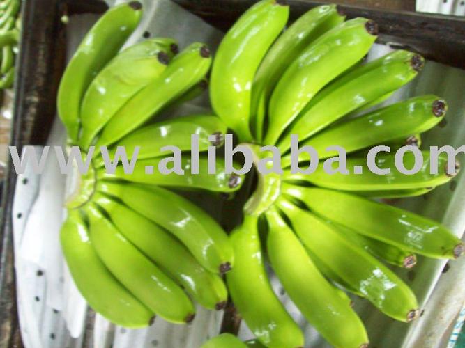 Cavendish Bananas