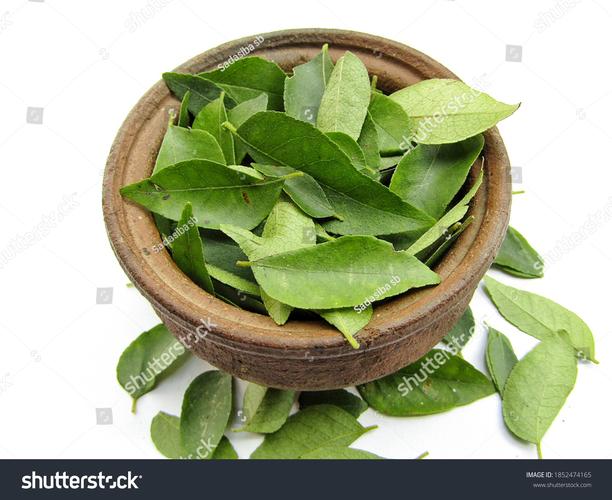 Fresh Curry Leaves Pack