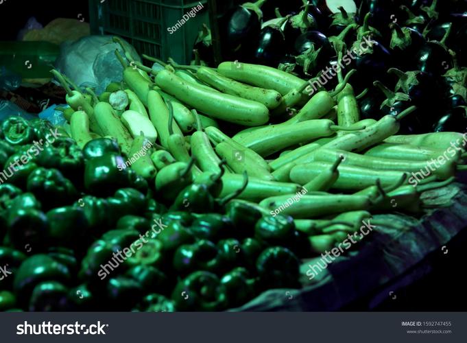 Indian Bottle Gourd (Lauki / Kaddu)