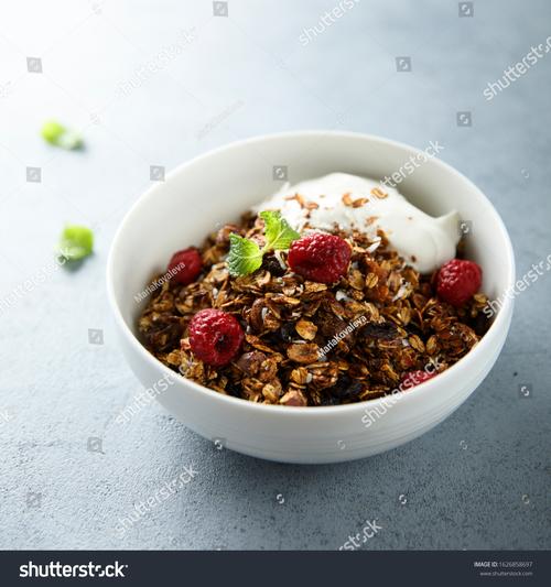Epigamia Indian Greek Yogurt (Classic)